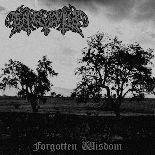 Sanguinum : Forgotten Wisdom